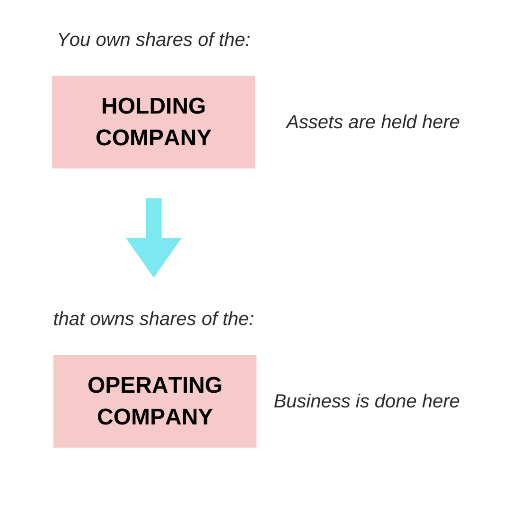 visual diagram of a holding company and operating company